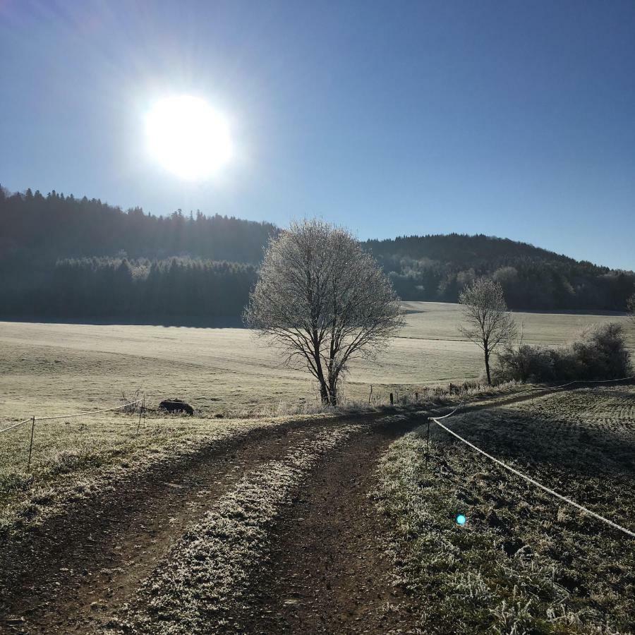 Gite La Janiat Montigny-sur-l'Ain Экстерьер фото